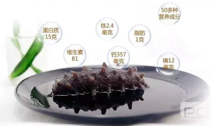 跟着南阳养老院一起看看老年人应该怎样进补海参？